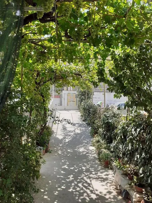 Cozy & Quiet Studio Apartment With A Garden Split